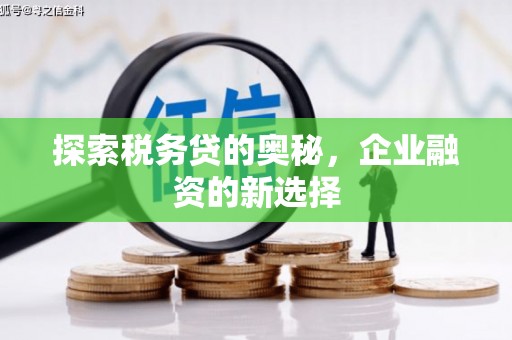 中区探索税务贷的奥秘，企业融资的新选择