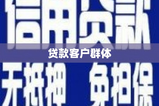 中区贷款客户群体