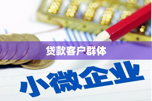 中区贷款客户群体