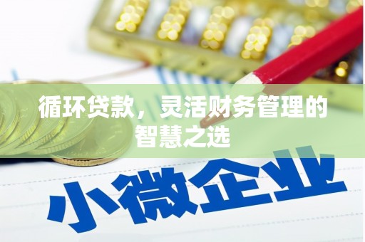 中区循环贷款，灵活财务管理的智慧之选