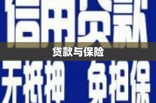 中区贷款与保险