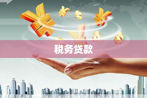 中区税务贷款