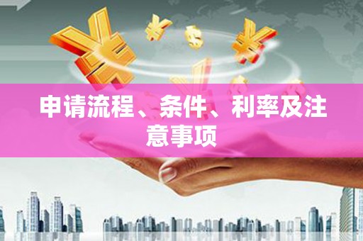 中区申请流程、条件、利率及注意事项