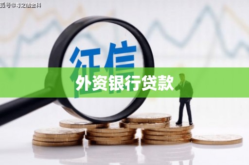 中区外资银行贷款