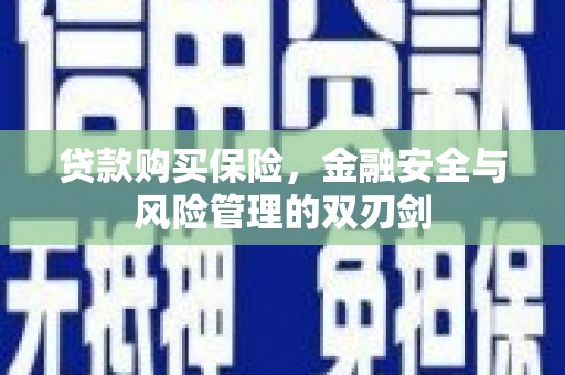 中区贷款购买保险，金融安全与风险管理的双刃剑