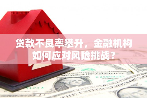 中区贷款不良率攀升，金融机构如何应对风险挑战？
