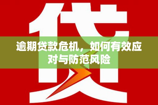 中区逾期贷款危机，如何有效应对与防范风险
