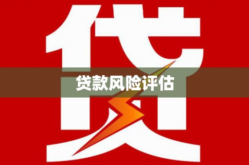 中区贷款风险评估