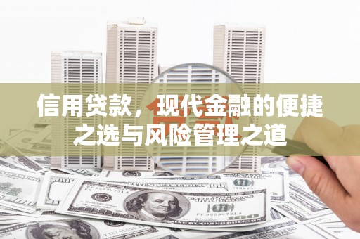 中区信用贷款，现代金融的便捷之选与风险管理之道