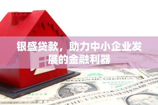 中区银盛贷款，助力中小企业发展的金融利器