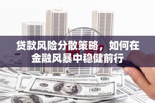 中区贷款风险分散策略，如何在金融风暴中稳健前行