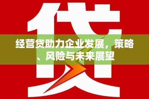 中区经营贷助力企业发展，策略、风险与未来展望