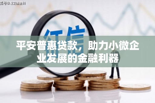 中区平安普惠贷款，助力小微企业发展的金融利器
