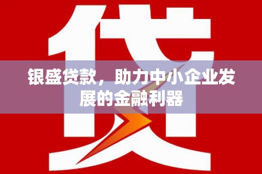 中区银盛贷款，助力中小企业发展的金融利器