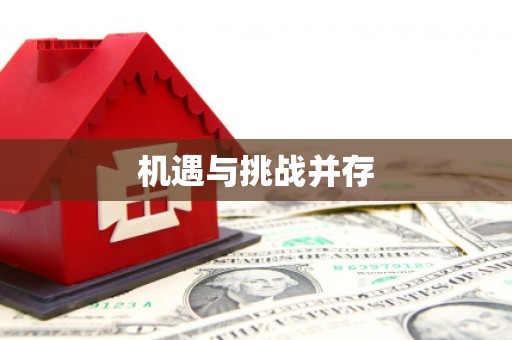 中区机遇与挑战并存
