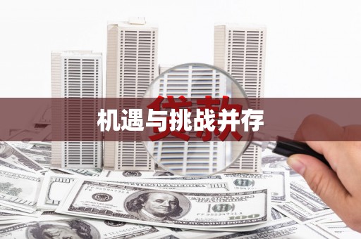 中区机遇与挑战并存