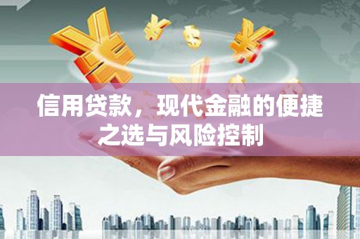 中区信用贷款，现代金融的便捷之选与风险控制