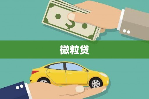 中区微粒贷