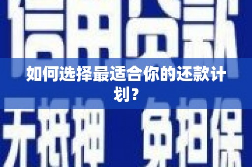 中区如何选择最适合你的还款计划？