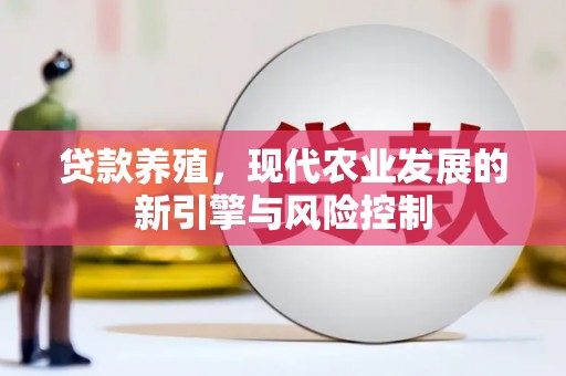 中区贷款养殖，现代农业发展的新引擎与风险控制