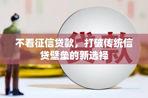 中区不看征信贷款，打破传统信贷壁垒的新选择