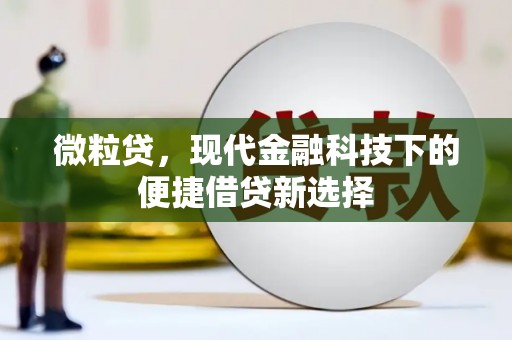 中区微粒贷，现代金融科技下的便捷借贷新选择