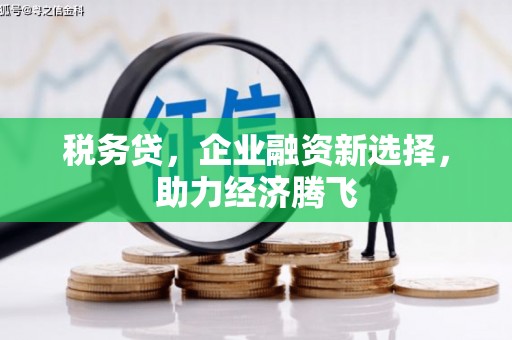 中区税务贷，企业融资新选择，助力经济腾飞