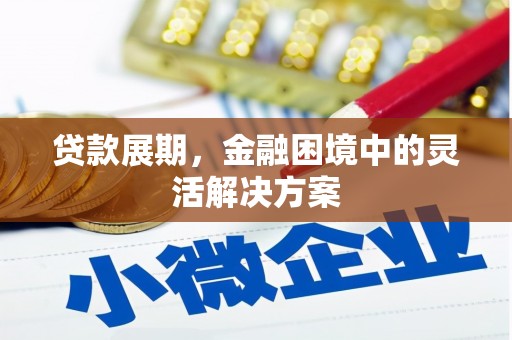 中区贷款展期，金融困境中的灵活解决方案