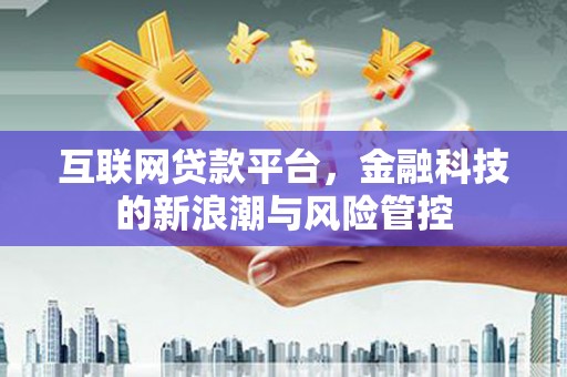 中区互联网贷款平台，金融科技的新浪潮与风险管控