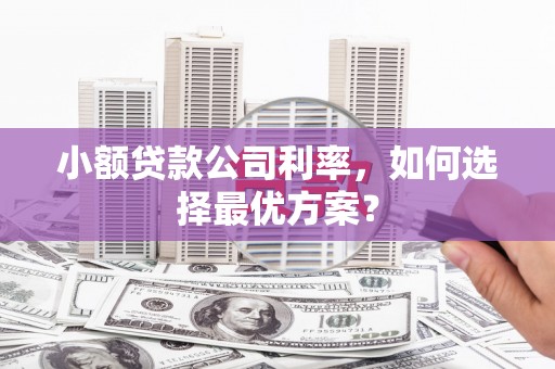 中区小额贷款公司利率，如何选择最优方案？