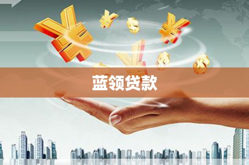 中区蓝领贷款