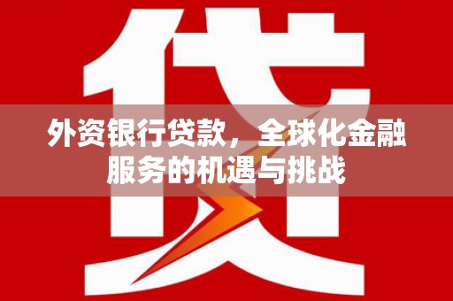 中区外资银行贷款，全球化金融服务的机遇与挑战