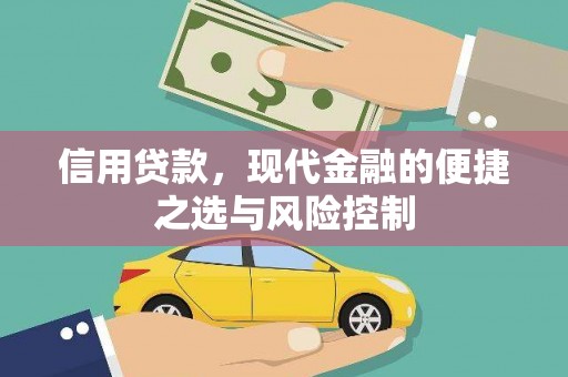 中区信用贷款，现代金融的便捷之选与风险控制