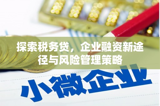 中区探索税务贷，企业融资新途径与风险管理策略