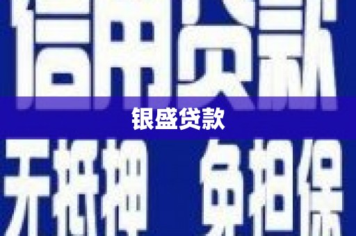 中区银盛贷款