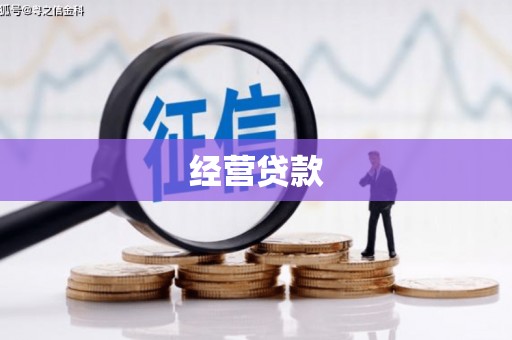 中区经营贷款