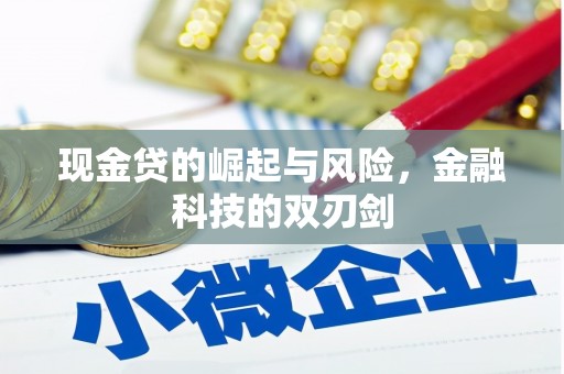 中区现金贷的崛起与风险，金融科技的双刃剑