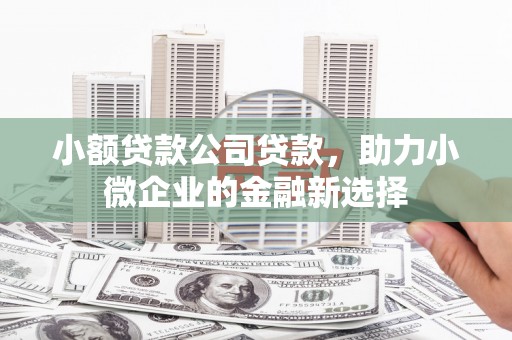 中区小额贷款公司贷款，助力小微企业的金融新选择