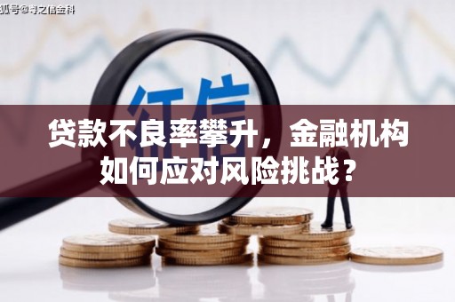 中区贷款不良率攀升，金融机构如何应对风险挑战？