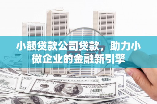 中区小额贷款公司贷款，助力小微企业的金融新引擎