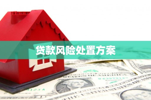 中区贷款风险处置方案