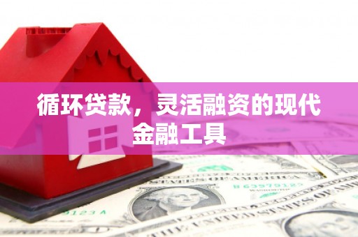 中区循环贷款，灵活融资的现代金融工具