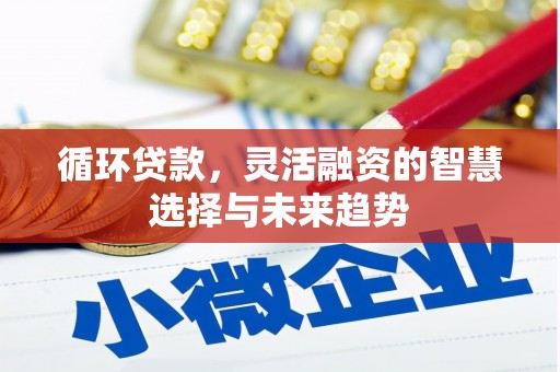 中区循环贷款，灵活融资的智慧选择与未来趋势