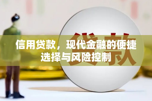中区信用贷款，现代金融的便捷选择与风险控制