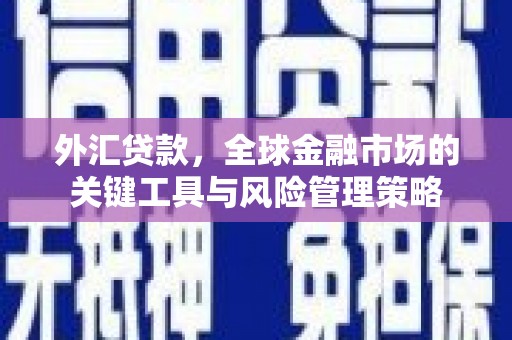 中区外汇贷款，全球金融市场的关键工具与风险管理策略