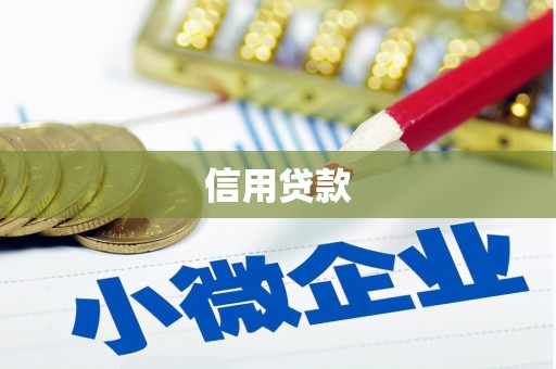 中区信用贷款
