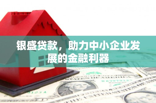中区银盛贷款，助力中小企业发展的金融利器