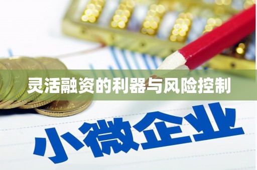 中区灵活融资的利器与风险控制