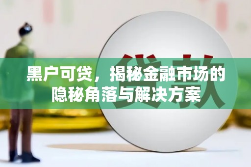 中区黑户可贷，揭秘金融市场的隐秘角落与解决方案