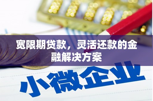 中区宽限期贷款，灵活还款的金融解决方案